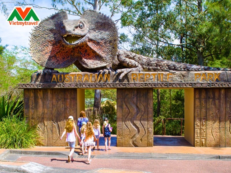 australian-reptile-park