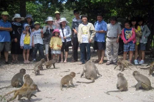 Vé thm quan đảo khỉ Nha Trang - Vịnh Nha Phu