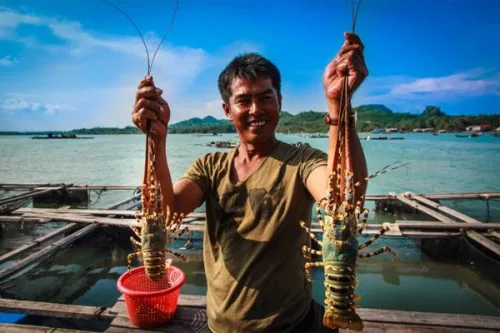 Vé tham quan Bình Ba (trong ngày)