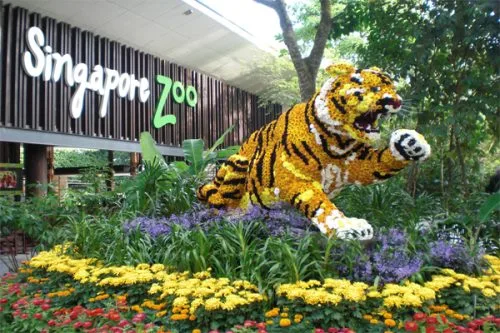 Vé tham quan Singapore Zoo