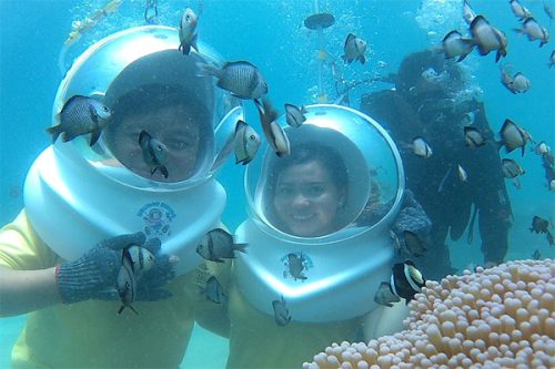 Vé lặn mũ dưới đáy biển Nha Trang