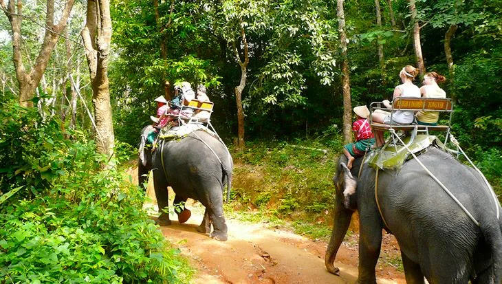 thám hiểm rừng xanh phuket gói B