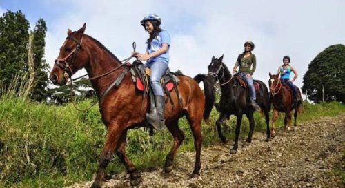 Vé Cưỡi ngựa ngắm cảnh và khám phá đồi Yankin Mandalay