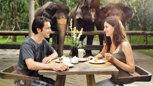 Vé Thưởng thức bữa sáng rừng xanh tại Bali Zoo