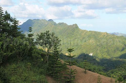 Vé Đạp xe khám phá thành phố và núi rừng Cebu