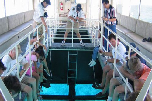 Vé đi thuyền đáy kính khám phá biển Boracay