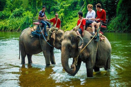 Vé tham quan chèo thuyền vượt thác và cưỡi voi Phuket