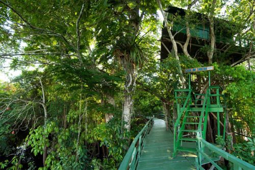 Vé tham quan-thám hiểm rừng xanh Phuket gói C