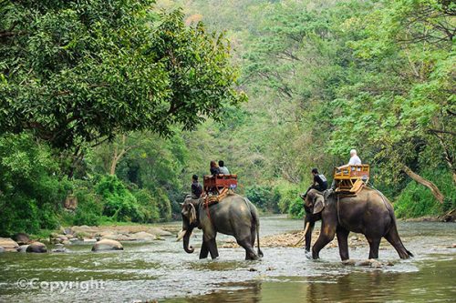 Vé tham quan-Sanpatong Chiang Mai