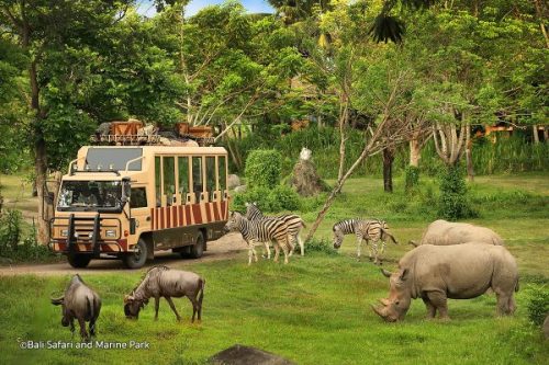 Vé tham quan Bali Safari và Marine Park