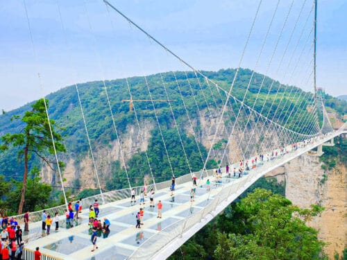 tour-truong-gia-gioi-phuong-hoang-co-tran