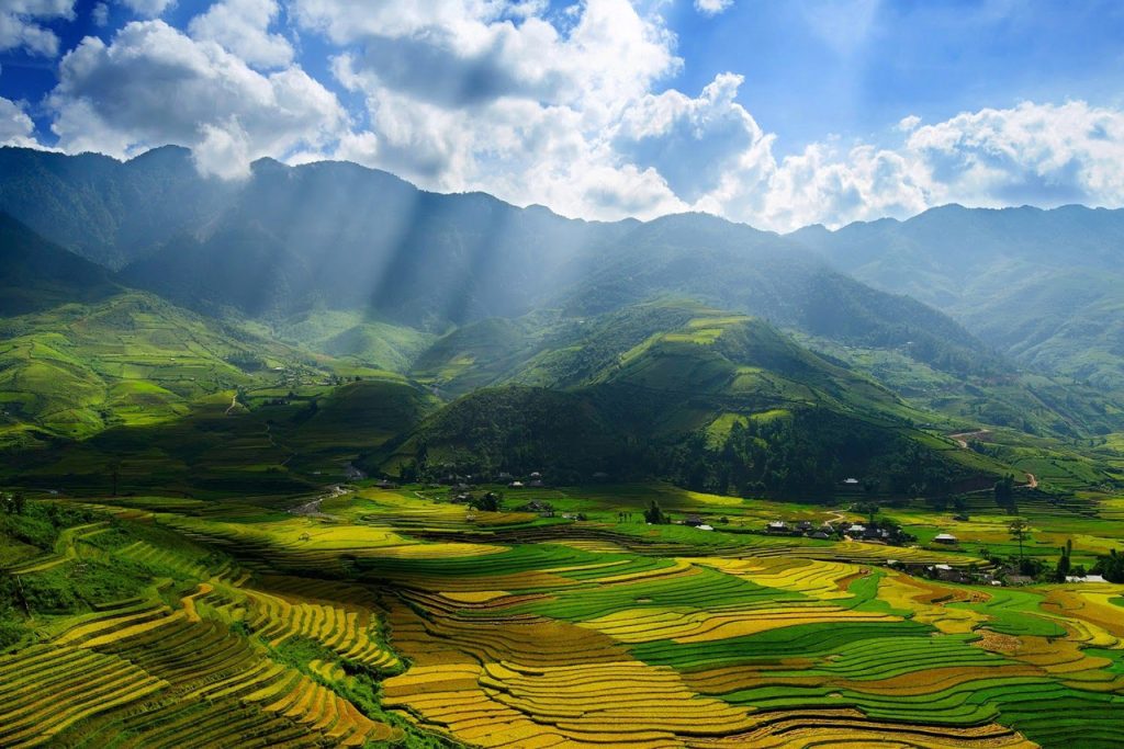 sapa
