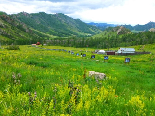 du lịch mông cổ Vietmytravel