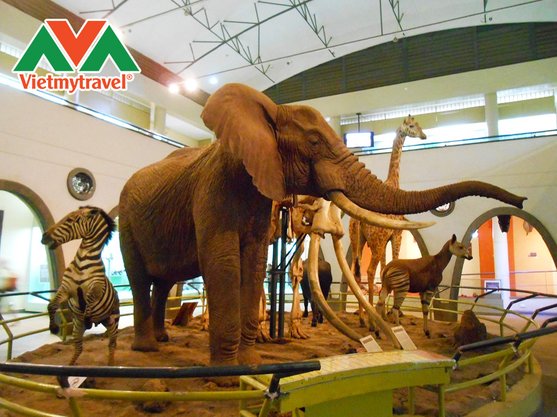 bao-tang-quoc-gia-kenya