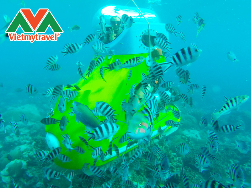 blue-safari-mauritius