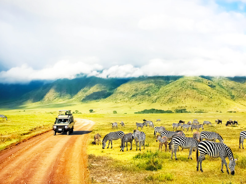 du-lich-kenya-zambia