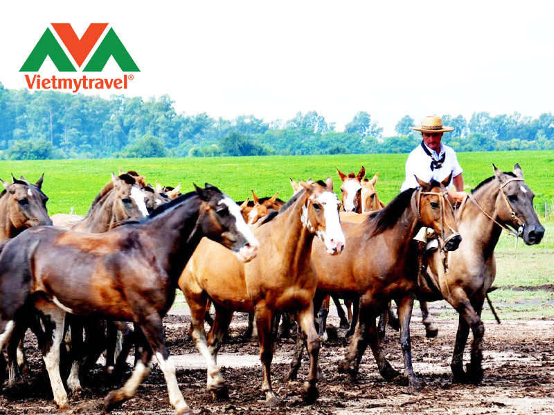 estancia-santa-susana