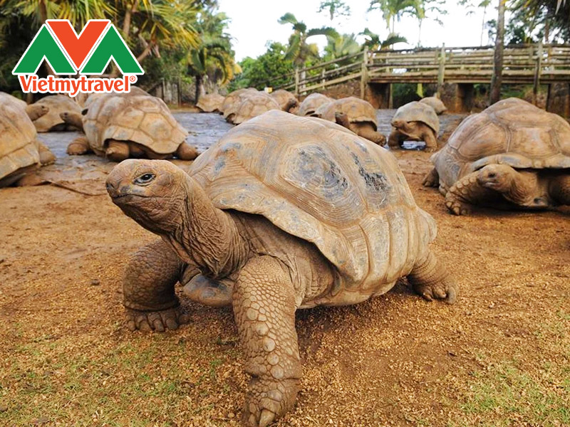 la-vanille-nature-park