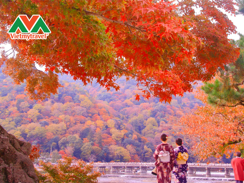 cau-togetsukyo-mua-thu