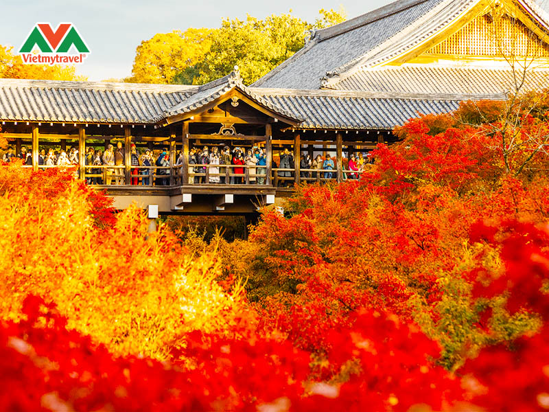 chua-tofuku-ji