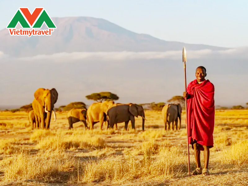 cong-vien-quoc-gia-amboseli