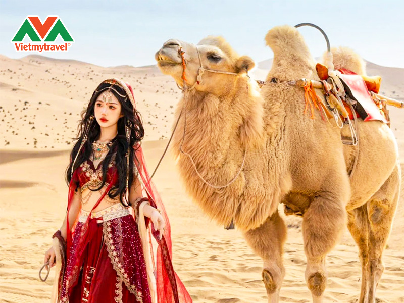 doi-cat-hat-tan-cuong