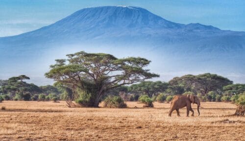 du lịch đông phi