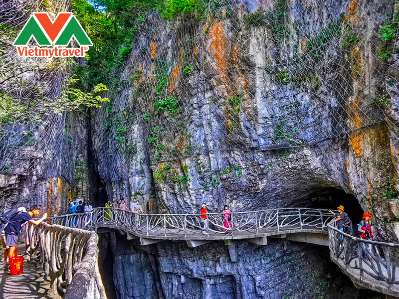 khu-bao-ton-thien-tu-son