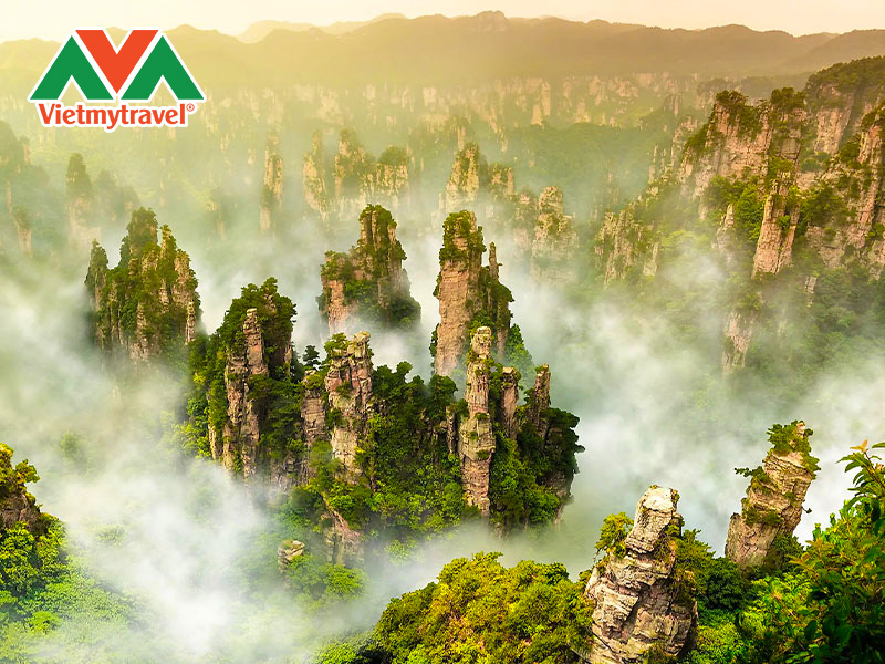 khu-phong-canh-nguyen-gia-gioi