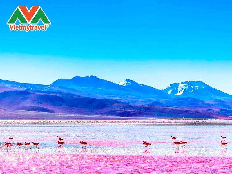 laguna-colorada
