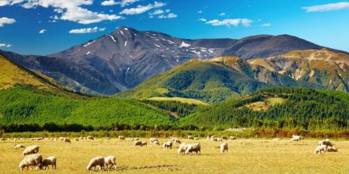 du lịch new zealand vietmytravel