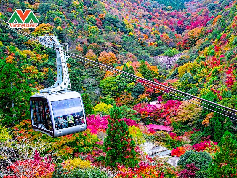 nui-rokko