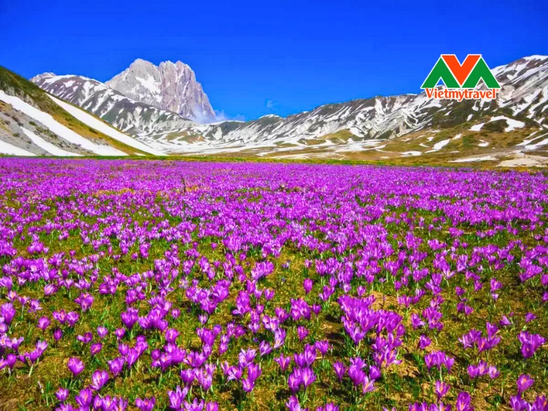 pahalgam-kashmir