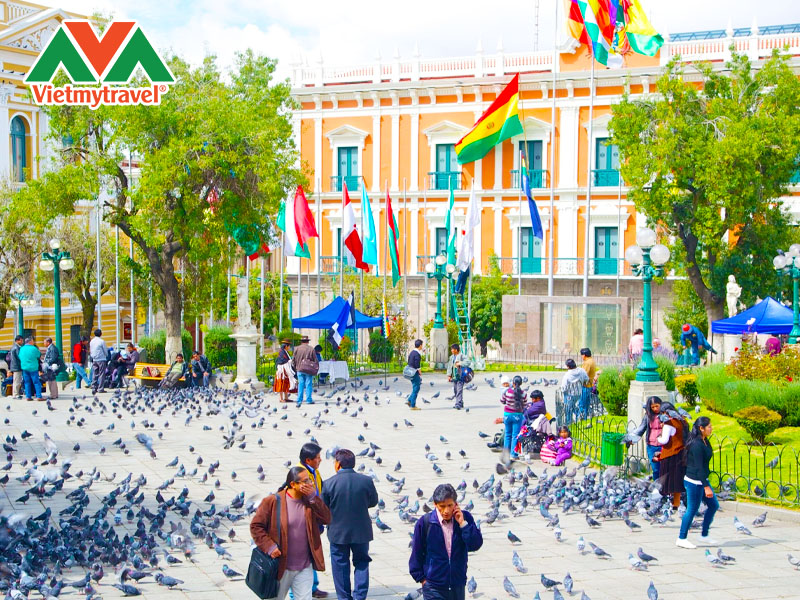 quang-truong-murillo