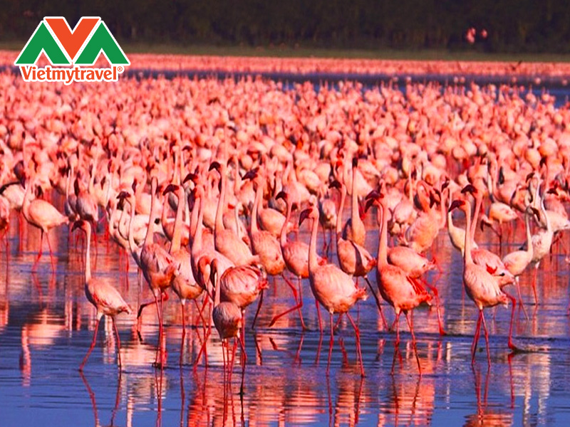 thien-duong-hong-lac