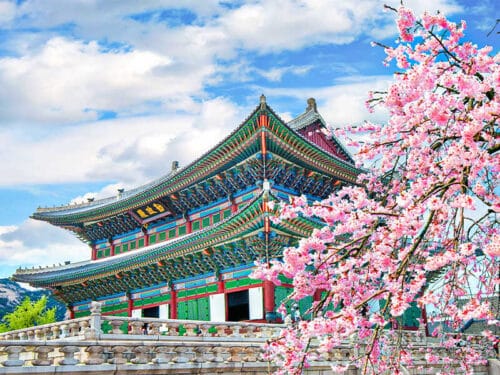 tour-du-lich-han-quoc-gia-re-vietmytravel