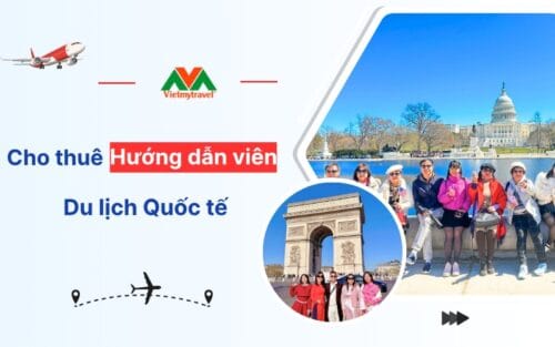 thue-huong-dan-vien-du-lich-quoc-te-vietmytravel