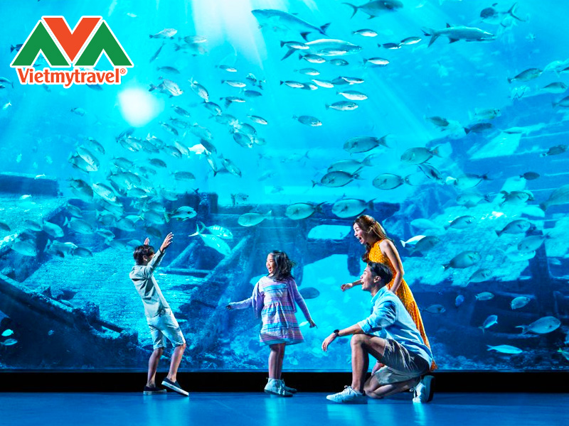 underwater-world-sentosa