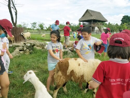 du lịch nông trang xanh Vietmytravel