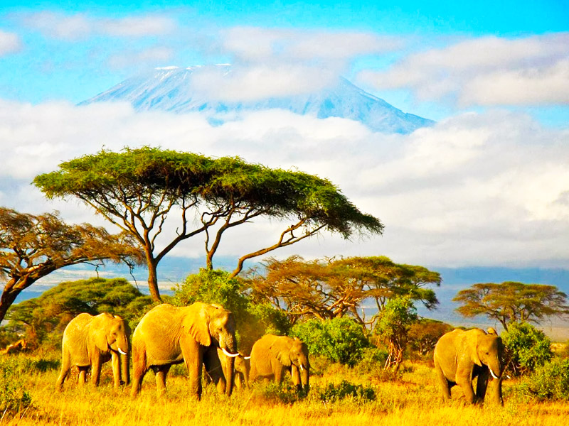 tour-du-lich-dong-phi