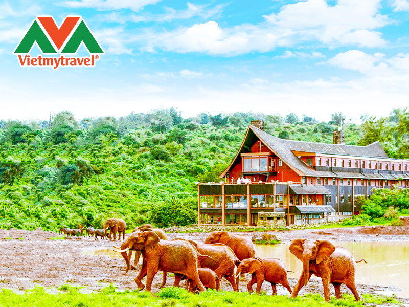 vuon-quoc-gia-aberdare