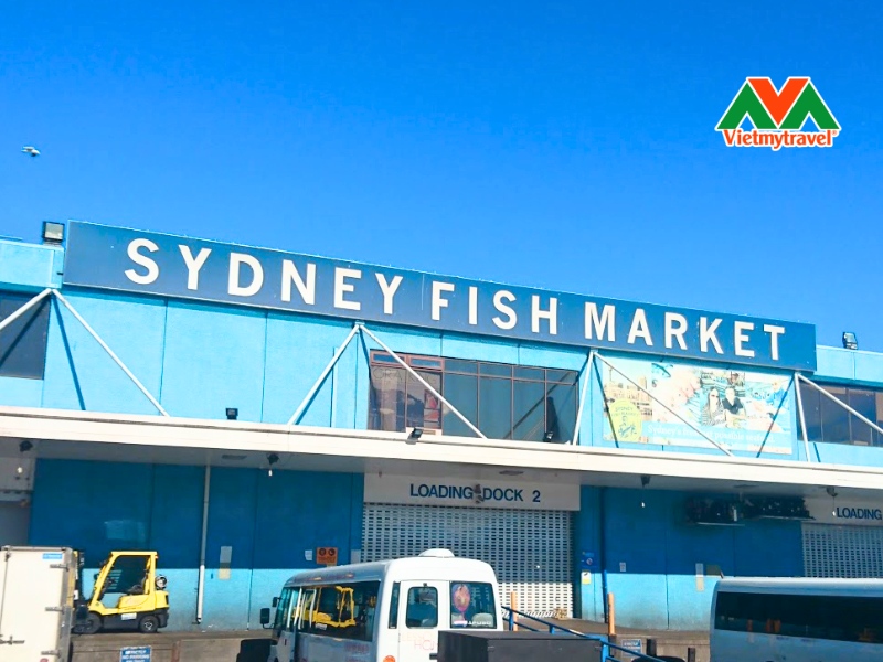 Sydney Fish Market 