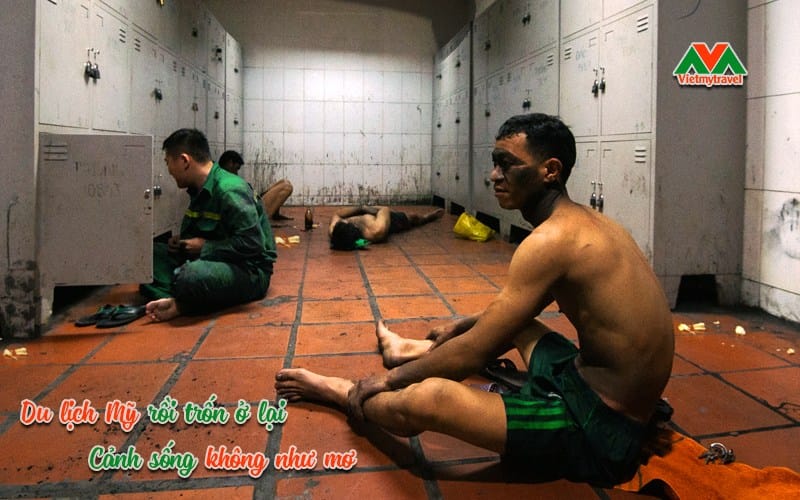 Lao động nặng nhọc, tiền lương thấp. Là cảnh sống không như mơ khi Đi du lịch Mỹ rồi trốn ở lại.