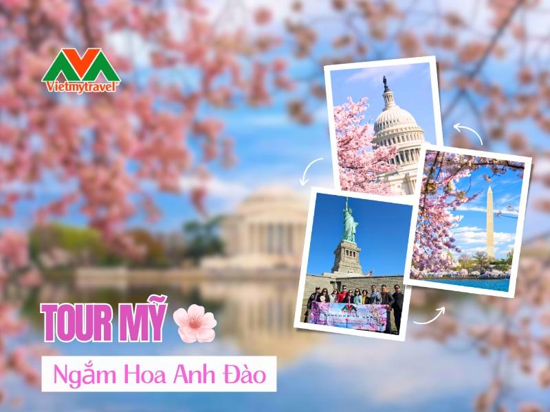 tour-my-ngam-hoa-anh-dao