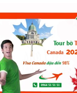 Tour du lịch bờ Tây Canada mới nhất 2023 - Vietmytravel