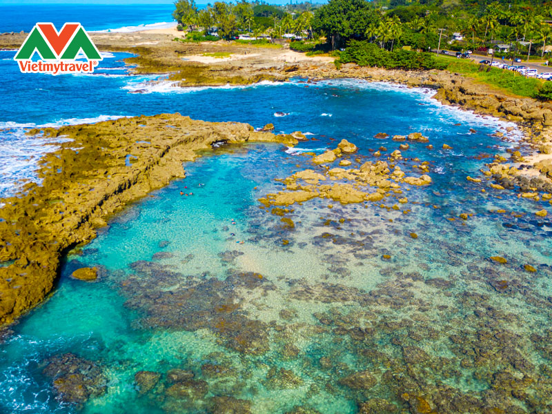 shark’s-cove