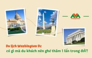 Du lịch Washington Dc có gì mà du khách nên ghé thăm 1 lần trong đời?