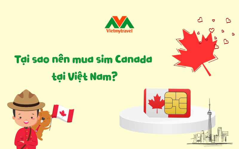 Tại sao nên mua sim 4G Canada tại Việt Nam? Vietmytravel