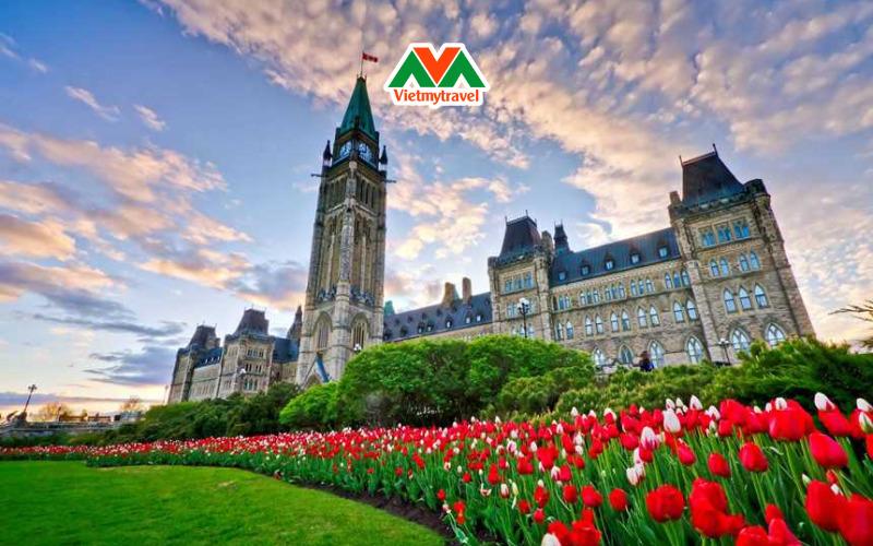Tour du lịch Canada 2024 - Hòa mình vào lễ hội hoa Tulip