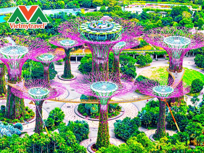 ky-quan-gardens-by-the-bay